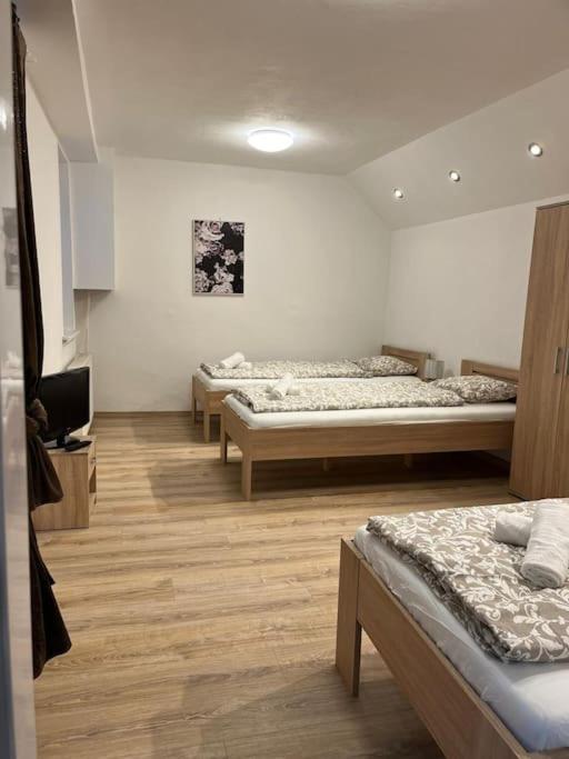Bada Bing Plaza Daire Bratislava Dış mekan fotoğraf